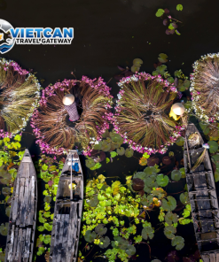 [MN02_VCTNĐ] TOUR RỪNG TRÀM TRÀ SƯ - CẦN THƠ - CHECK IN PHIM TRƯỜNG ĐẤT RỪNG PHƯƠNG NAM