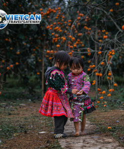 [MB03_VCTNĐ] TP.HỒ CHÍ MINH - HÀ NỘI - HẠ LONG - NINH BÌNH - TAM CHÚC - MỘC CHÂU - MAI CHÂU